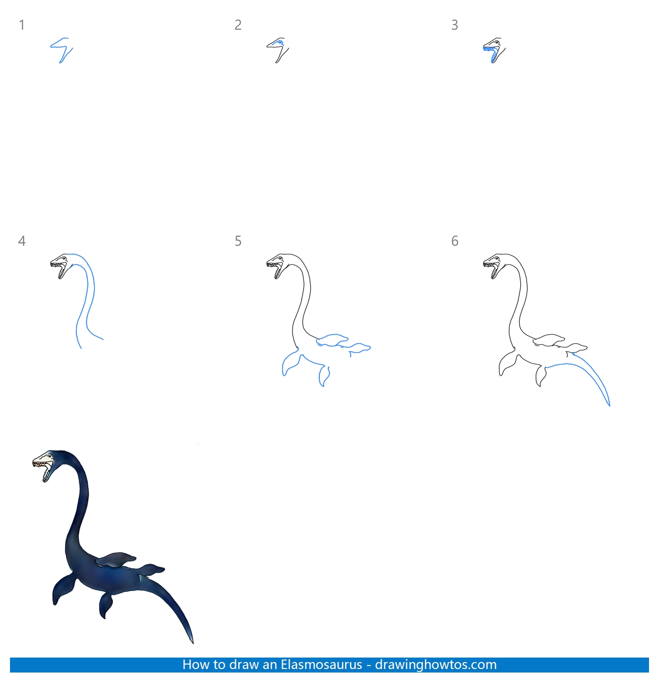 How to Draw an Elasmosaurus Step by Step