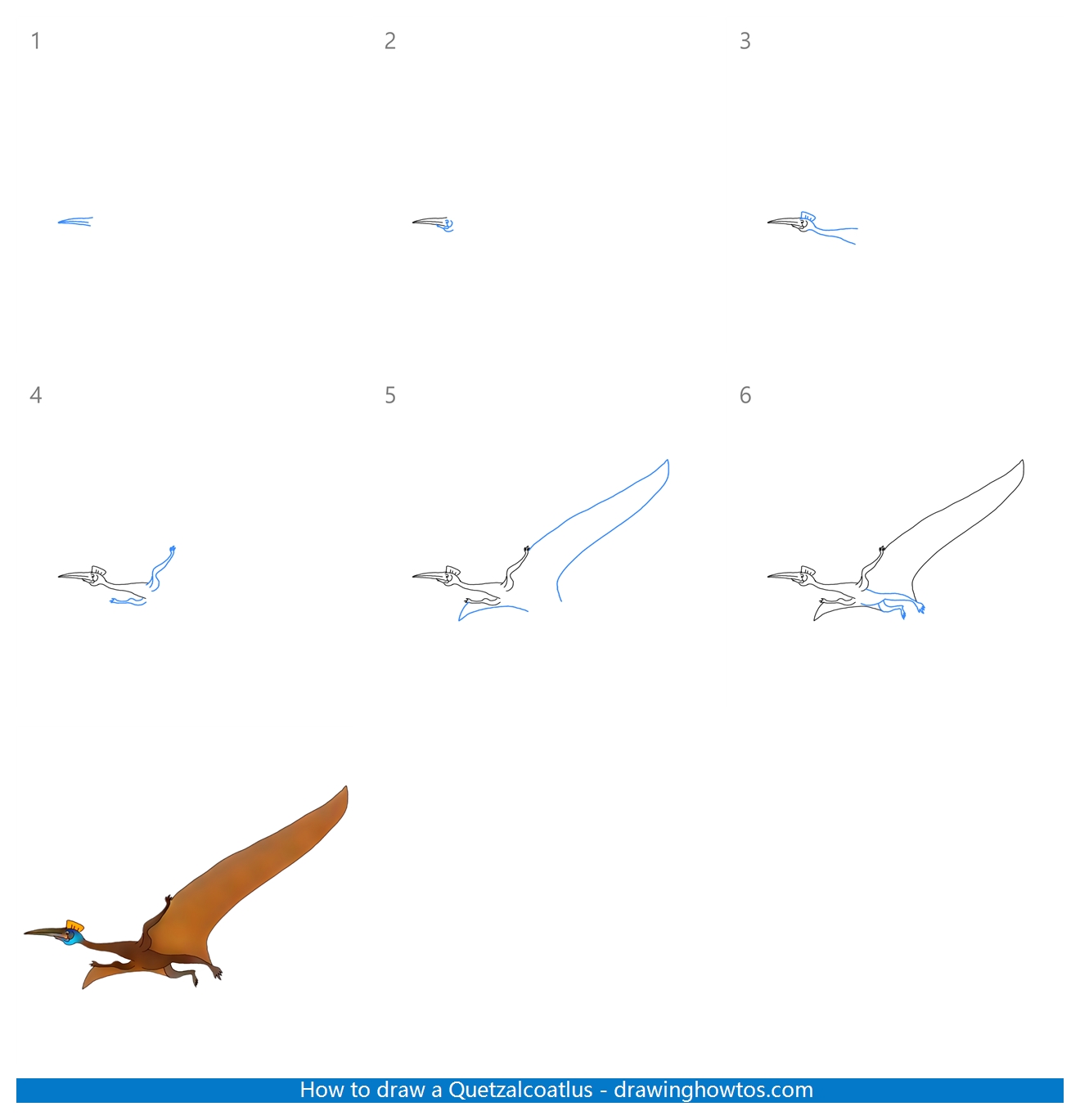 How to Draw a Quetzalcoatlus Step by Step
