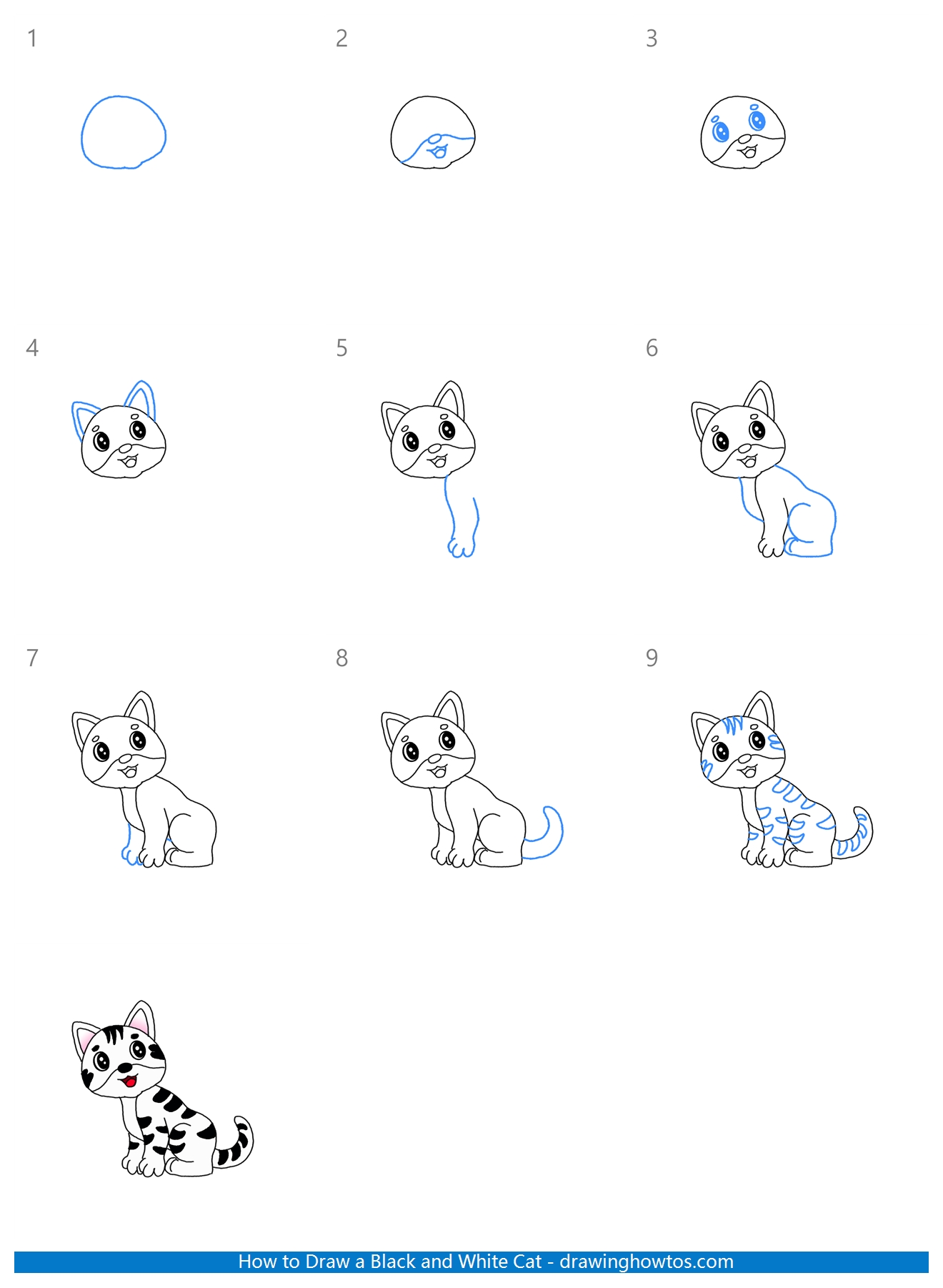 How to Draw a Black and White Cat Step by Step