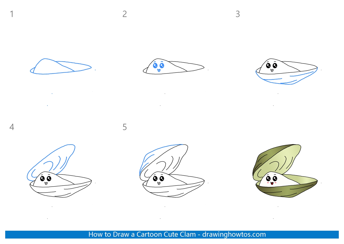 How to Draw a Cute Clam Step by Step