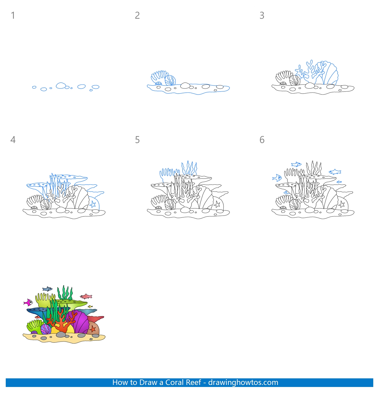 How to Draw a Coral Reef Step by Step