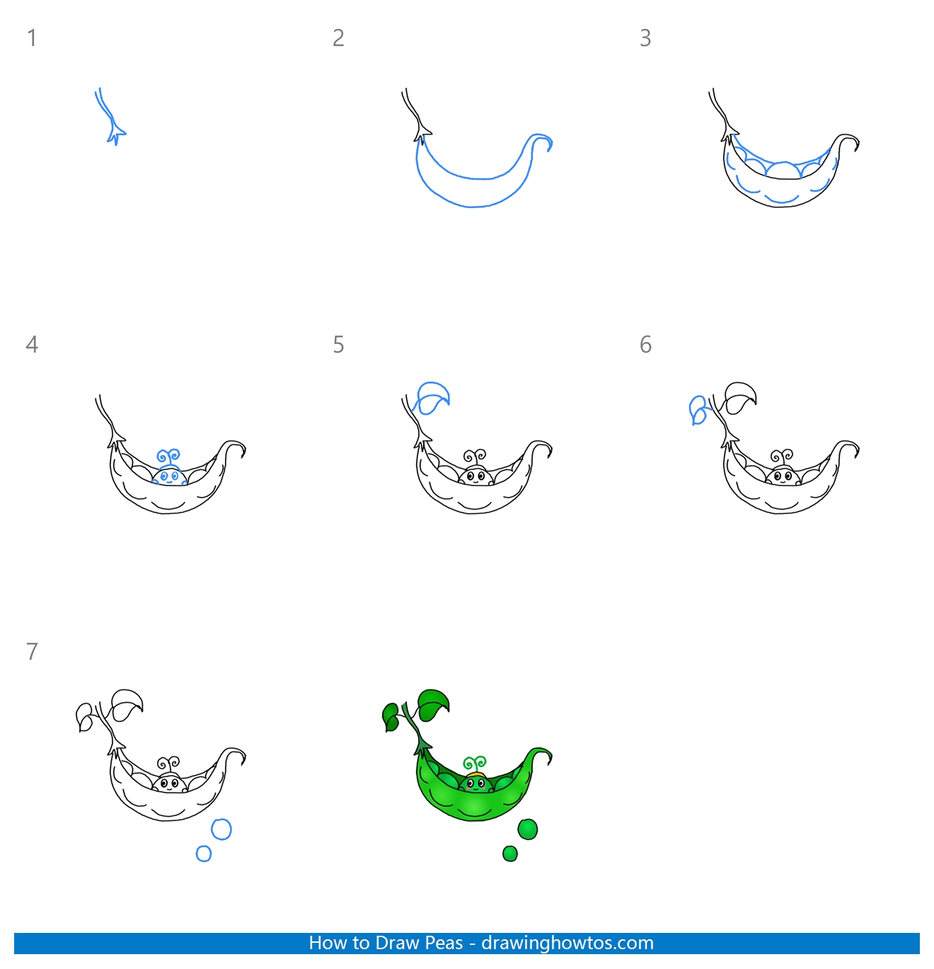 How to Draw Peas Step by Step