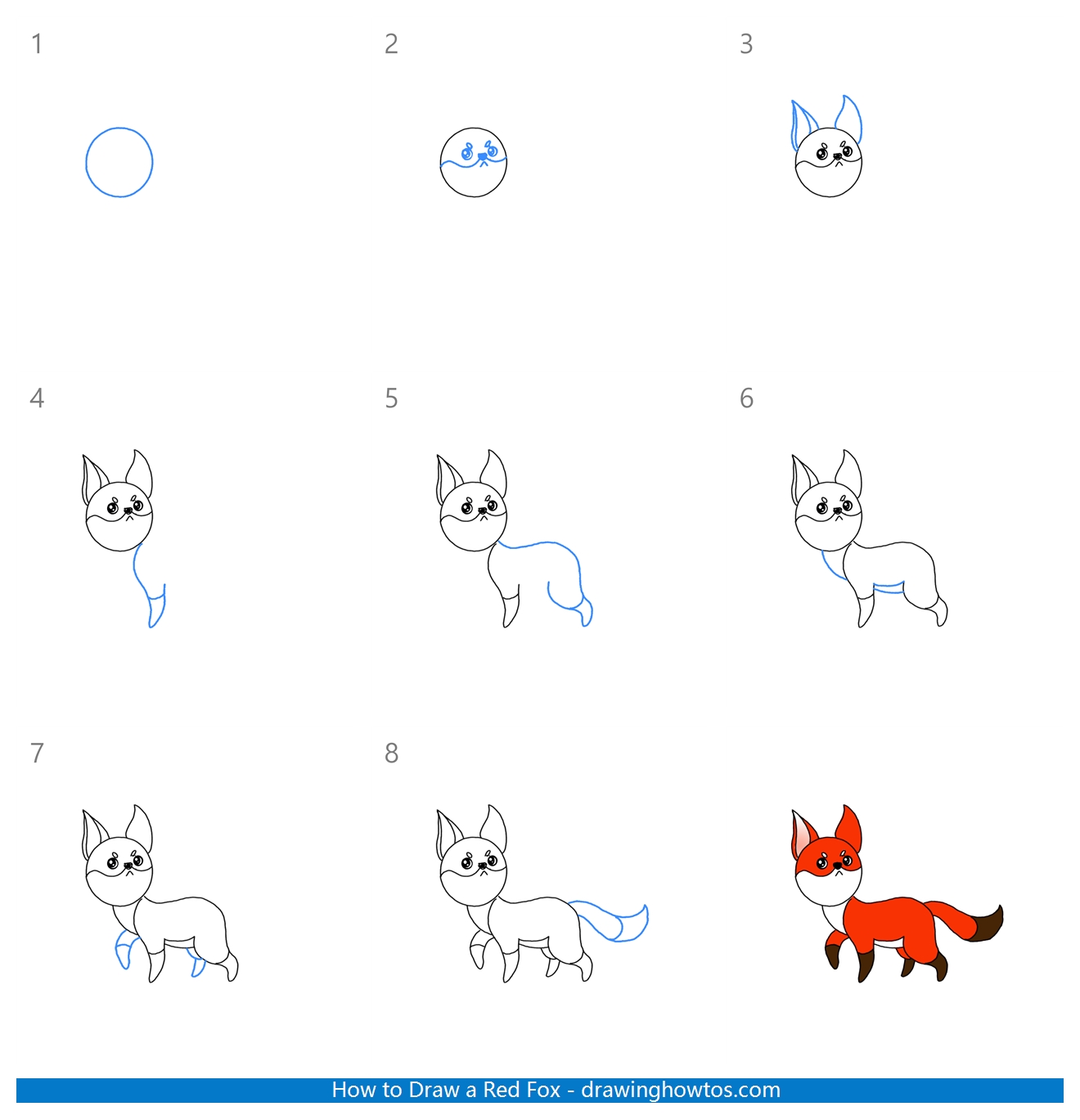 How to Draw a Red Fox Step by Step