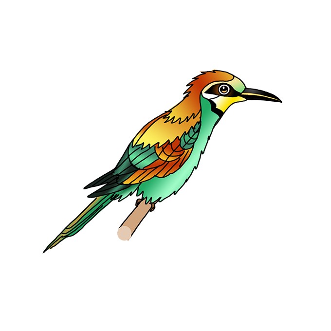 How to Draw a Bee-eater