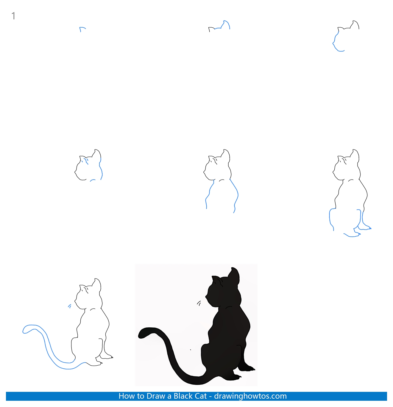 How to Draw a Black Cat Step by Step