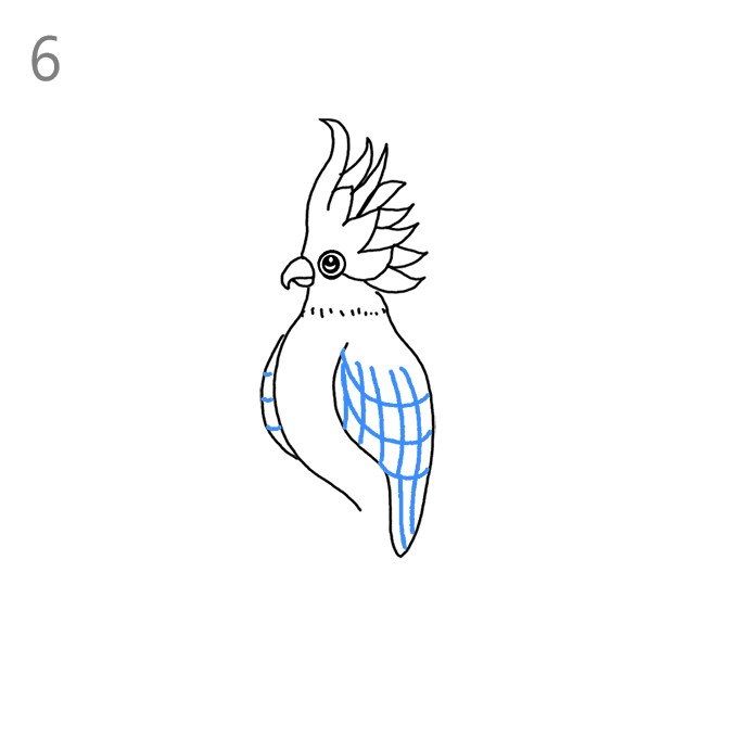 How To Draw A Cockatoo Step By Step Easy Drawing Guides Drawing Howtos