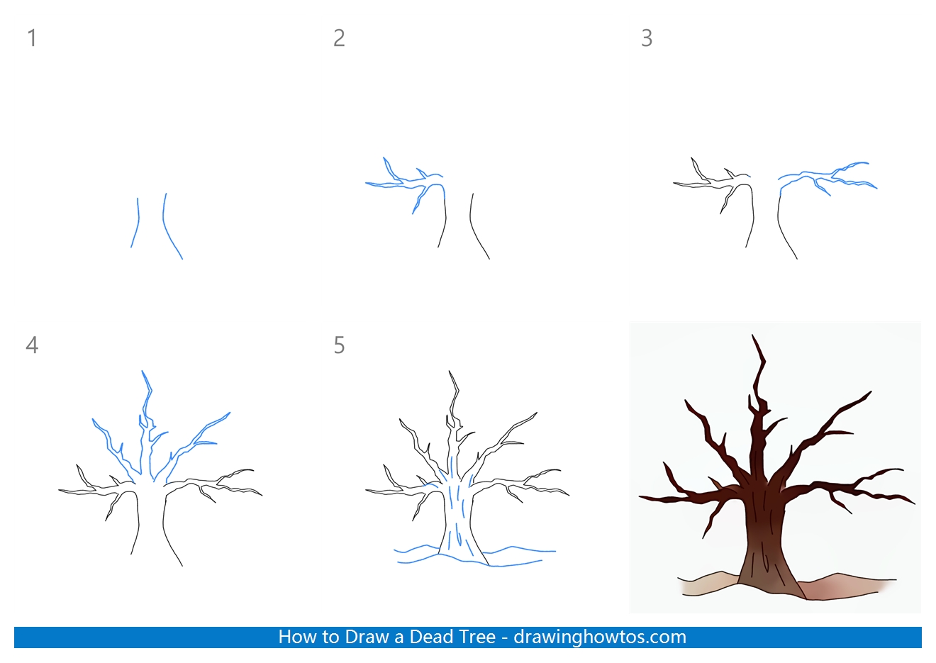 How to Draw a Scary Tree Step by Step