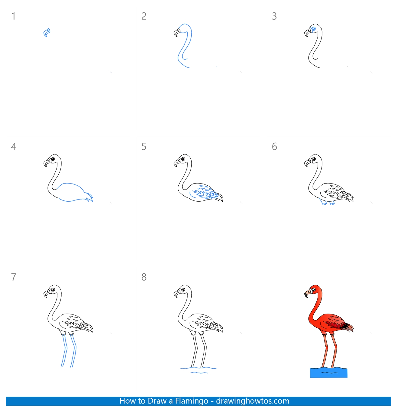 How to Draw a Flamingo Step by Step