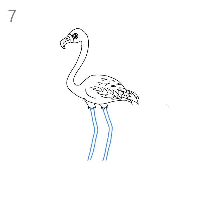 Sketch collection of flamingos 1114783 Vector Art at Vecteezy