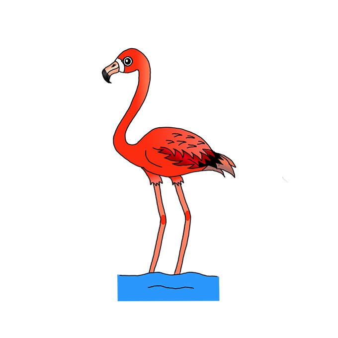 How to Draw a Flamingo Easy