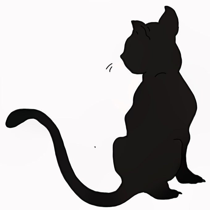 Black Cat Drawing  How To Draw A Black Cat Step By Step
