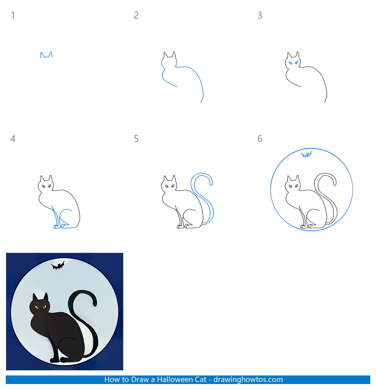 How to Draw a Halloween Black Cat Step by Step