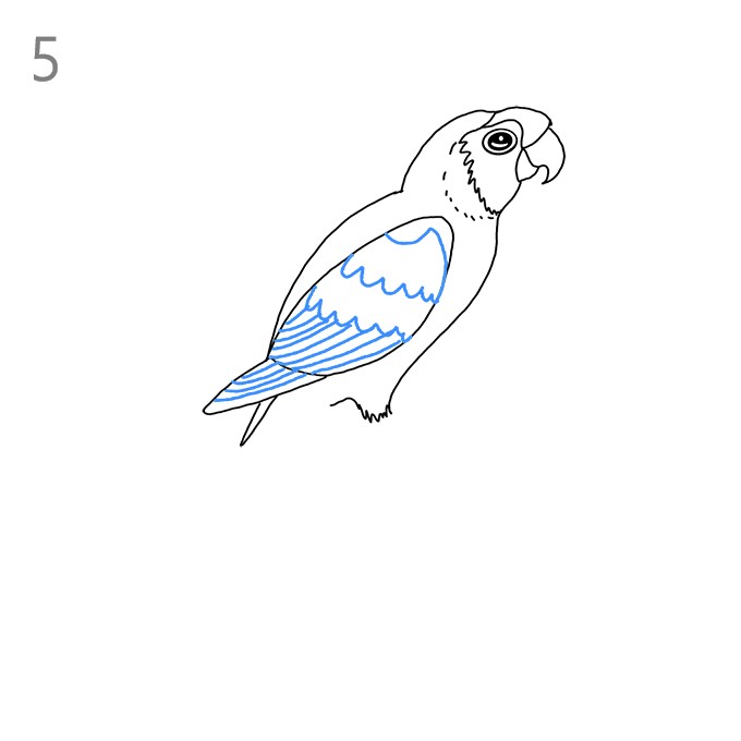 How to draw Parroteasy bird  video Dailymotion
