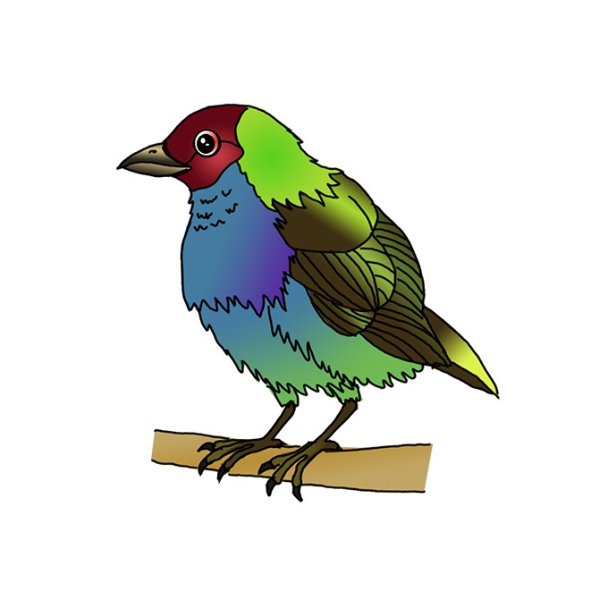 How to Draw a Tanager