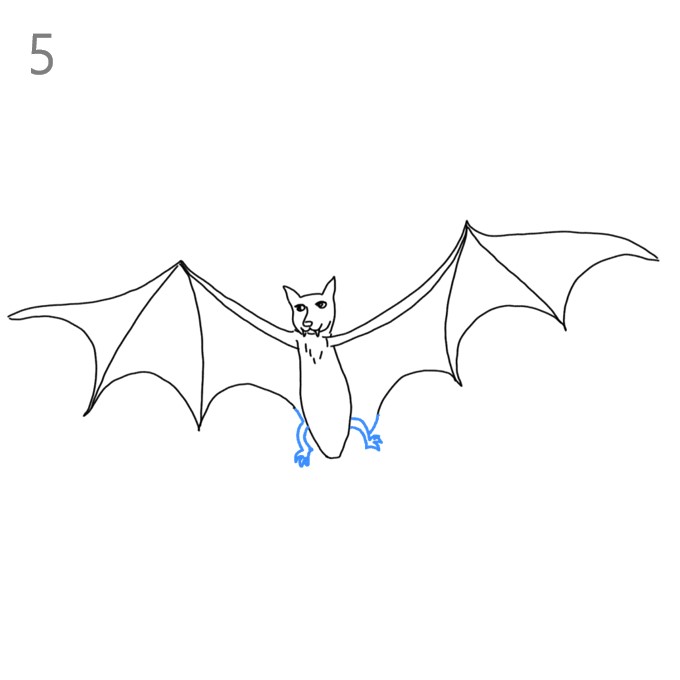 How to Draw a Bat for Halloween - Step by Step Easy Drawing Guides - Drawing  Howtos