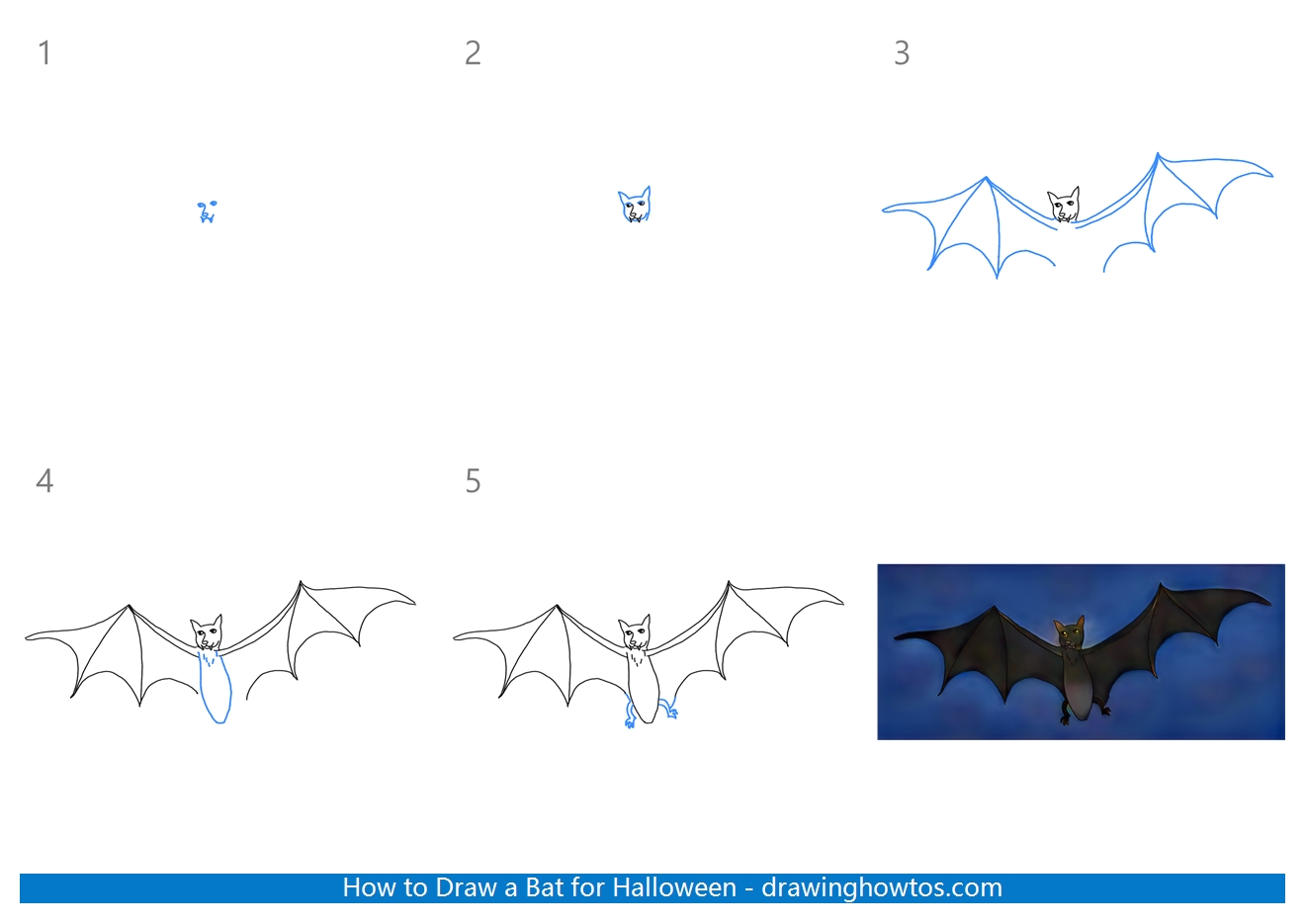 How to Draw a Bat for Halloween Step by Step