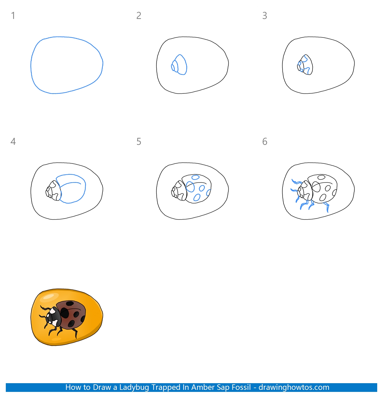 How to Draw a Ladybug Trapped in Amber Sap Fossil Step by Step