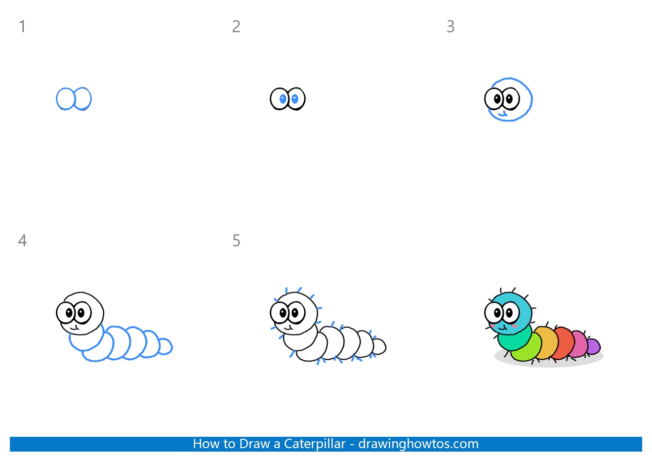 How to Draw a Caterpillar Step by Step