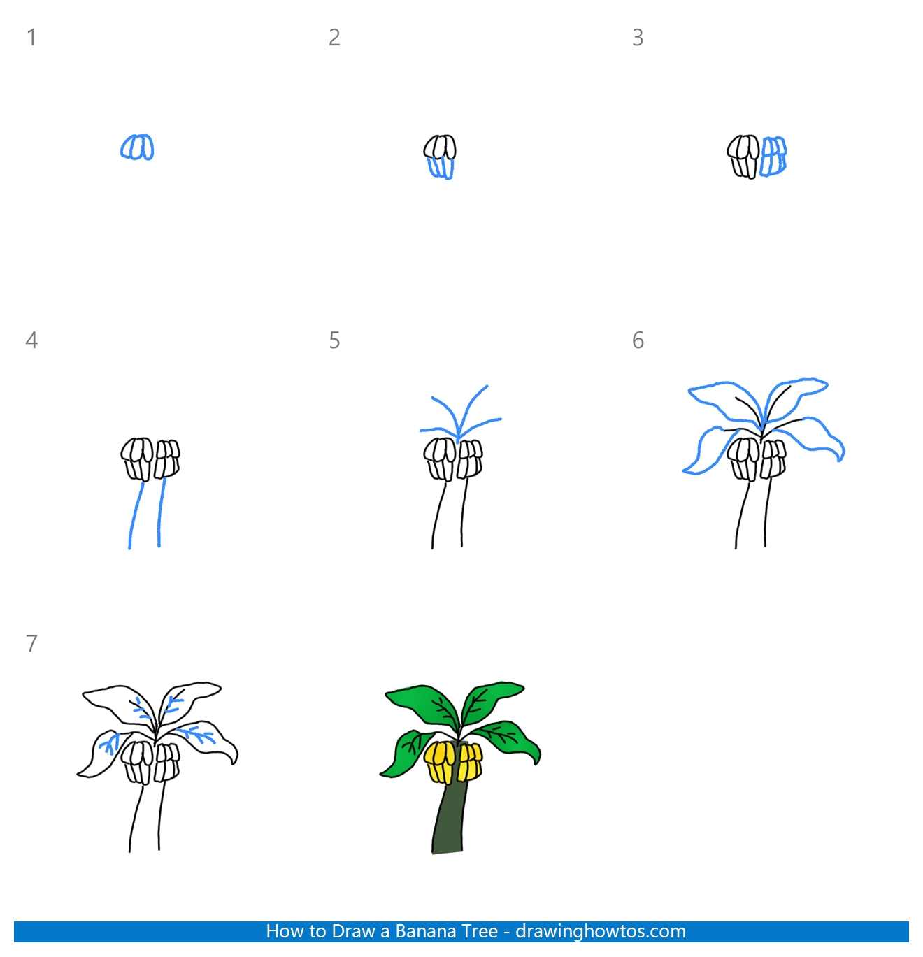 How to Draw a Banana Tree Step by Step