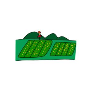 How to Draw Agricultural Fields Easy
