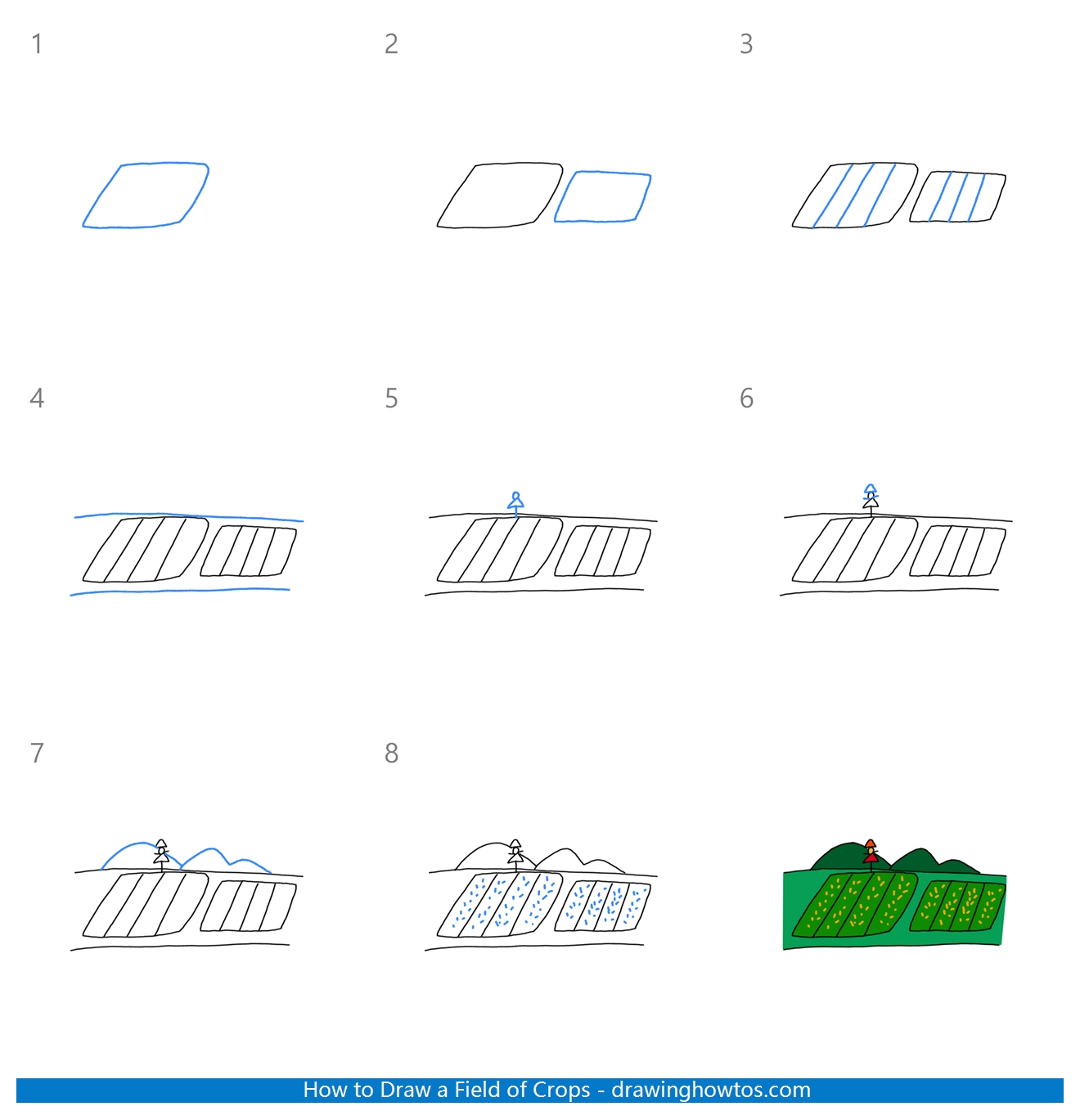 How to Draw Agricultural Fields Step by Step