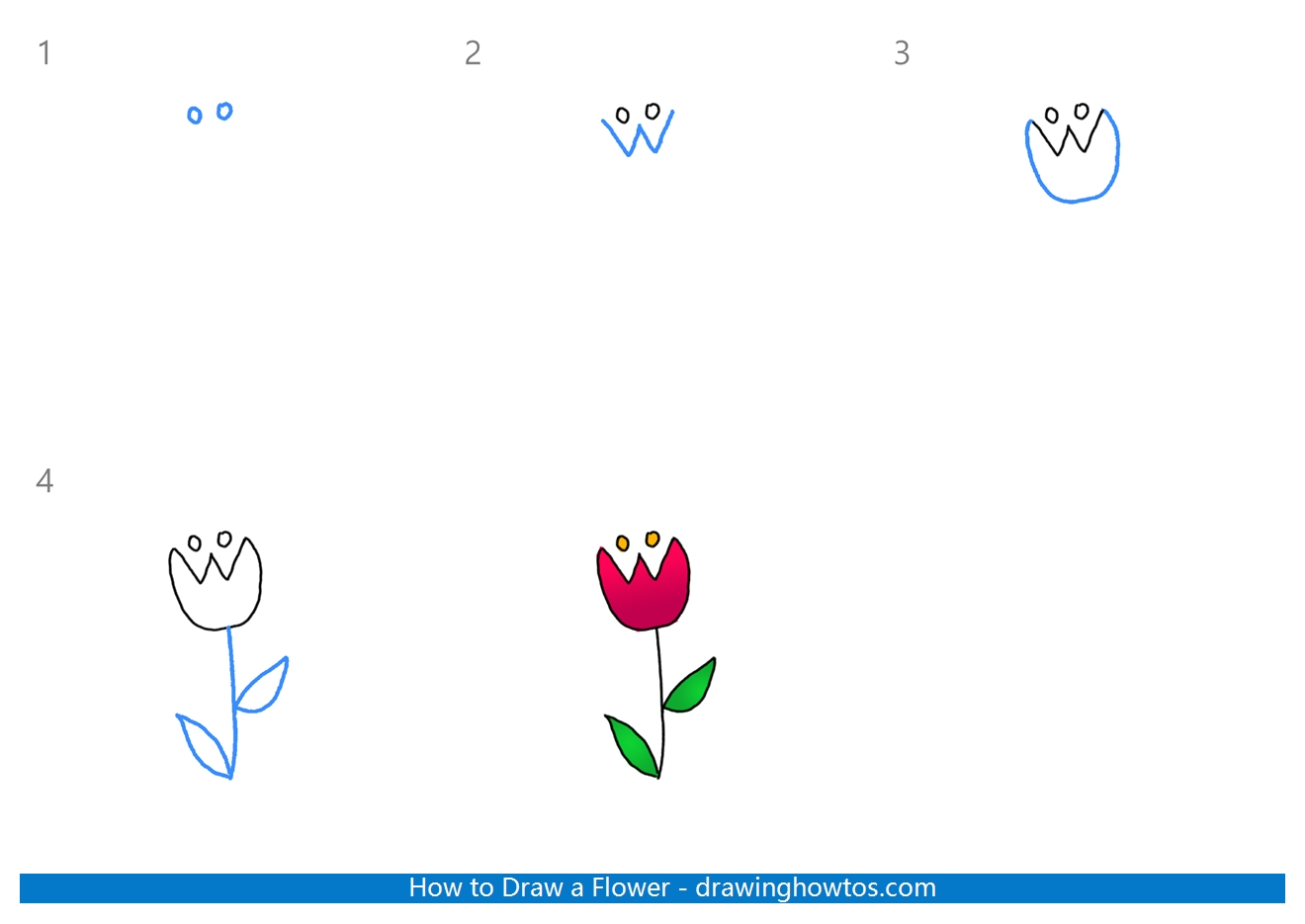 How to Draw a Flower Easy Step by Step