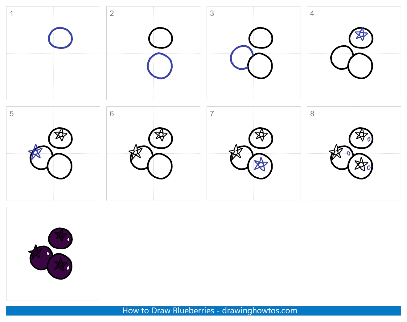 How to Draw Blueberries Step by Step