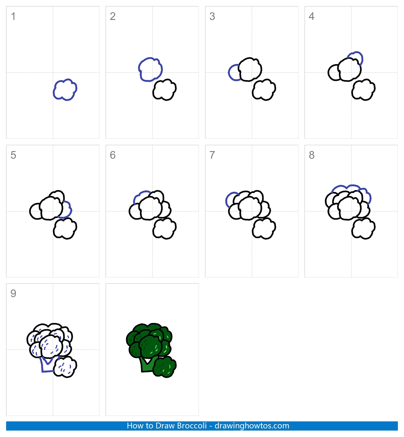 How to Draw Broccoli Step by Step