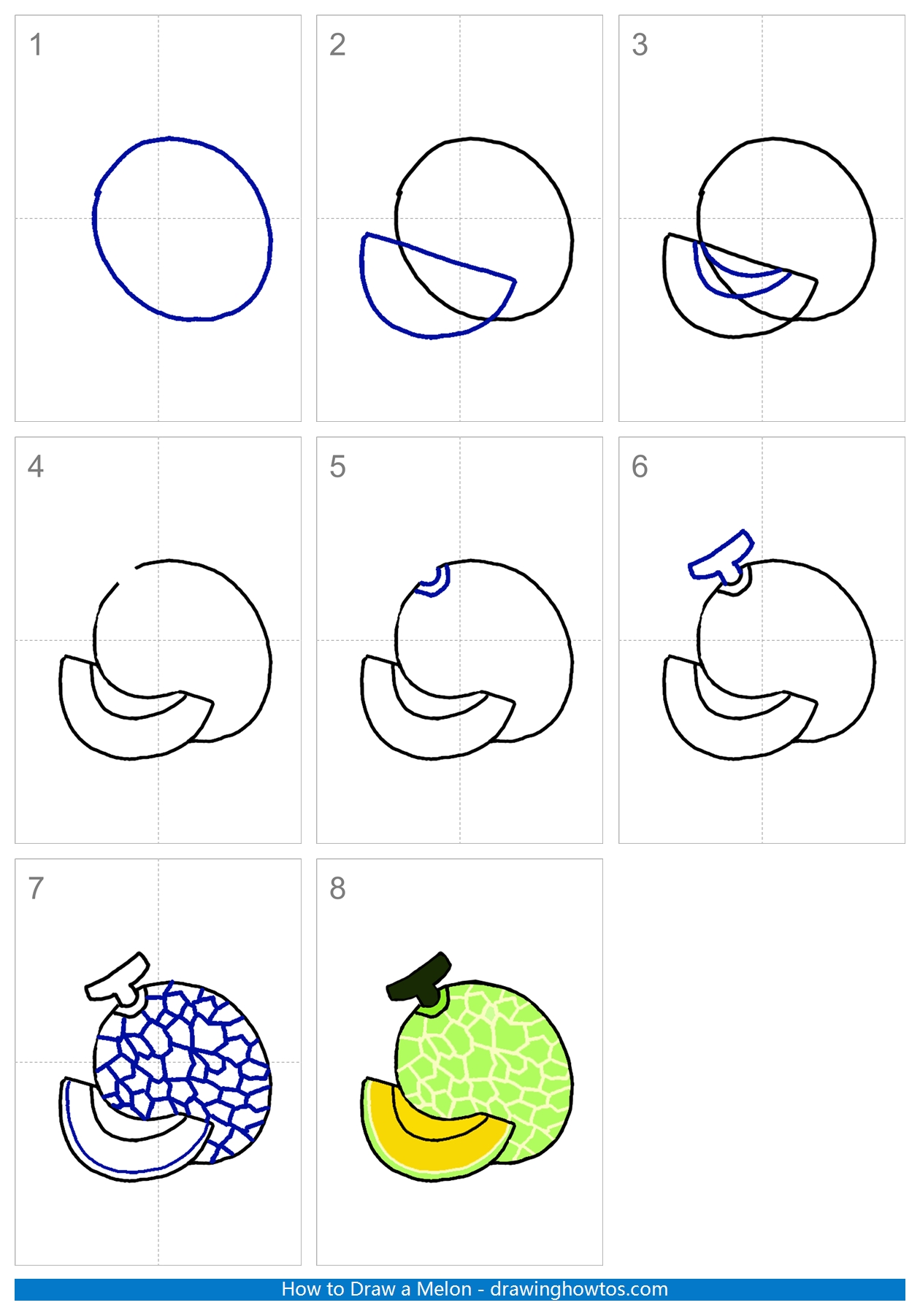 How to Draw a Cantaloupe Melon Step by Step