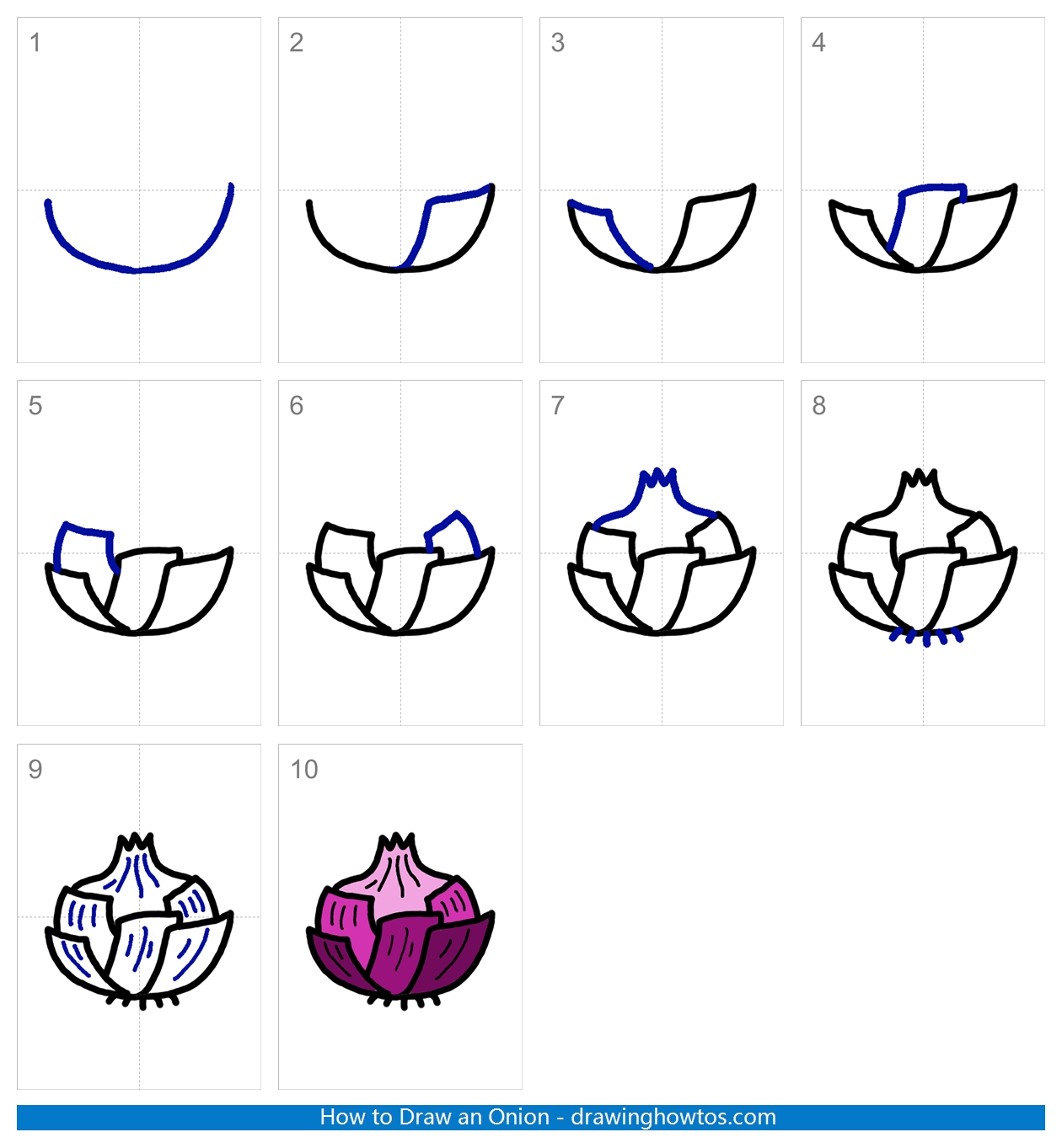 How to Draw an Onion Step by Step