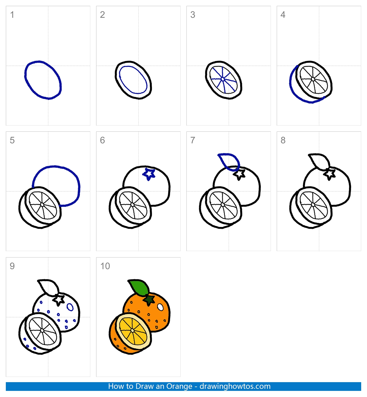How to Draw an Orange Step by Step