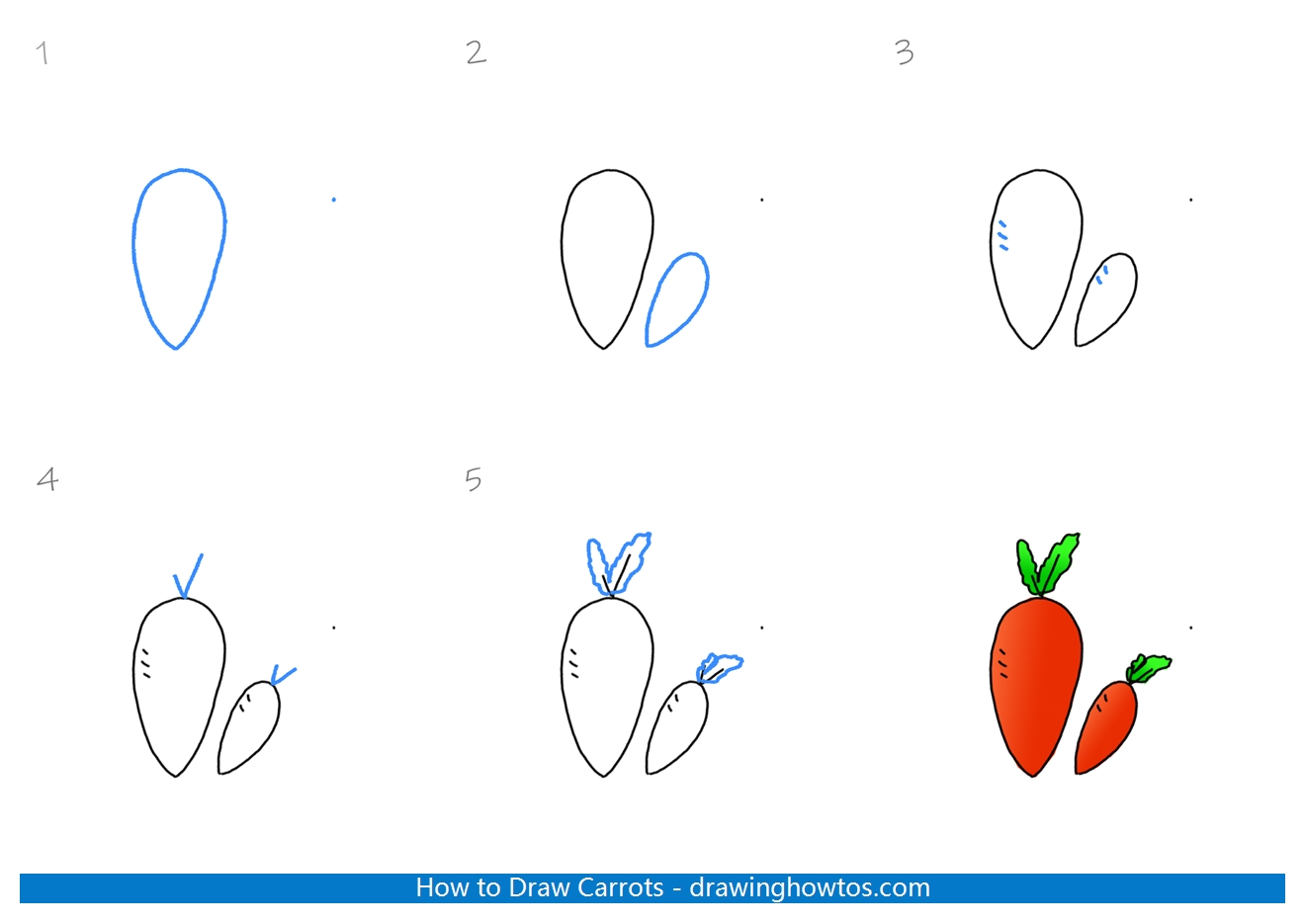 How to Draw Carrots Step by Step