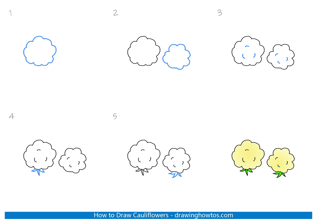 How to Draw Cauliflower Step by Step