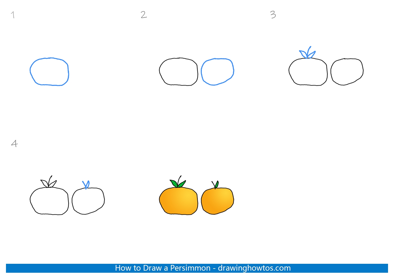 How to Draw a Persimmon step by step