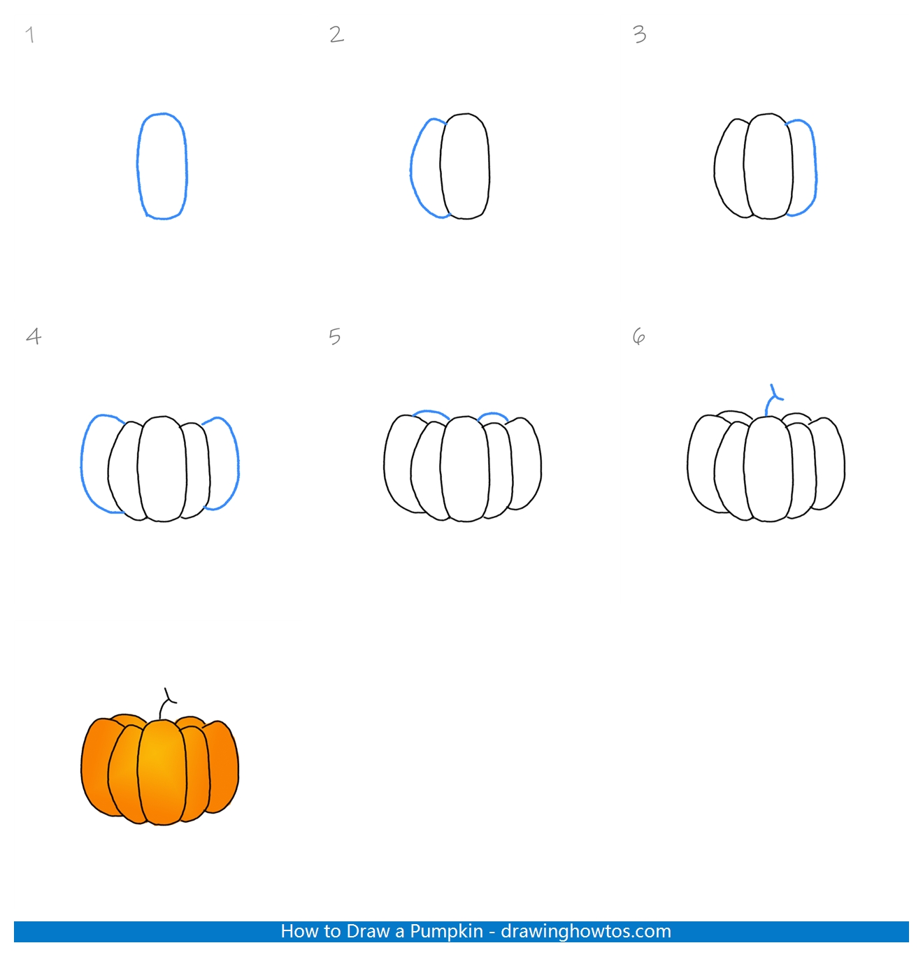 How to Draw a Pumpkin Step by Step